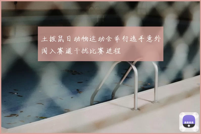 土拨鼠日动物运动会举行选手意外闯入赛道干扰比赛进程