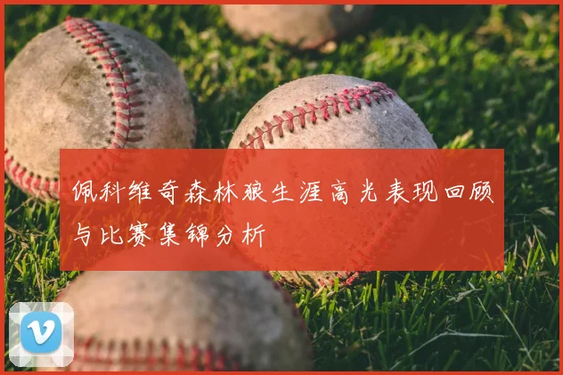 佩科维奇森林狼生涯高光表现回顾与比赛集锦分析