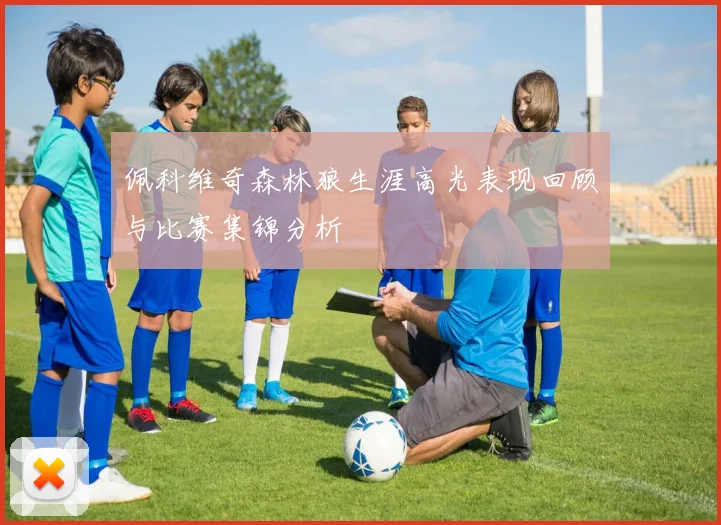 佩科维奇森林狼生涯高光表现回顾与比赛集锦分析