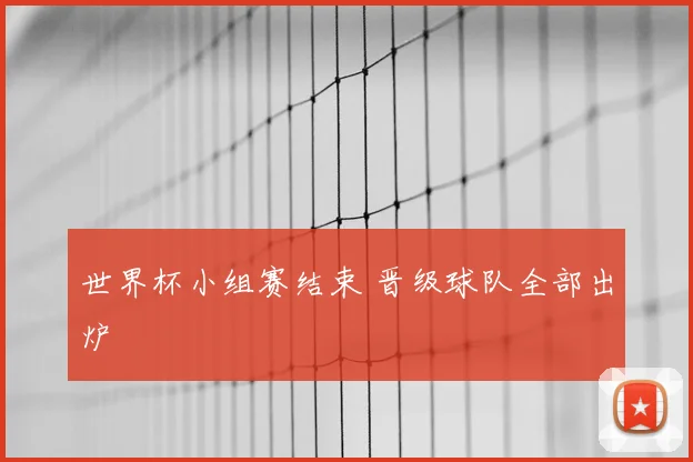 世界杯小组赛结束 晋级球队全部出炉